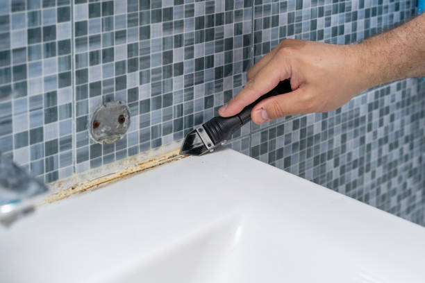 Best Mold Removal Company Near Me  in Mount Washington, KY